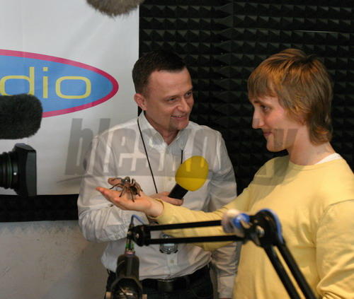 vilomeniny-sajfa.jpg